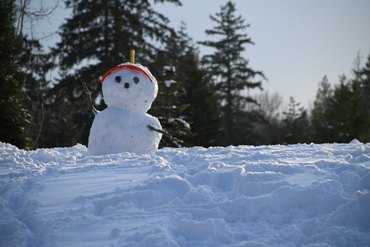 Snowman