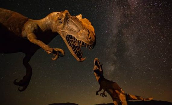 New research has revealed that many dinosaur populations were declining long before the last extinction event.  