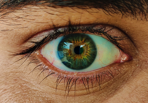 Meibomian glands-- little-known structures at the edges of the eye-- are vital for maintaining eye health. Photo by Utkarxh Rathore on Unsplash.
