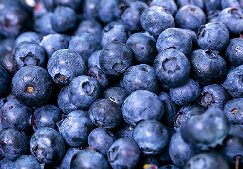 Blueberries are photographed close up.