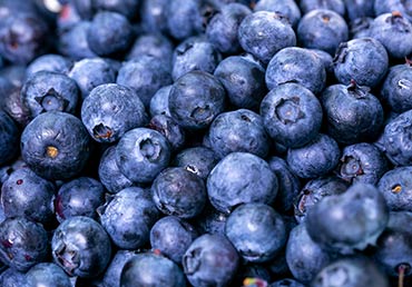Antioxidant-powered blueberries are seen.