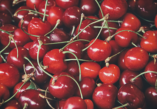 A cluster of cherries that produce tart cherry juice are photographed.
