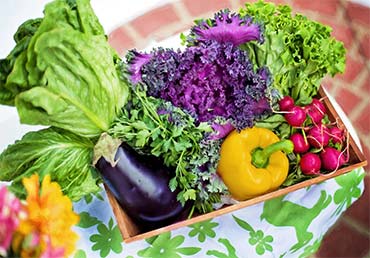 Lovely Vegetables In A Basket