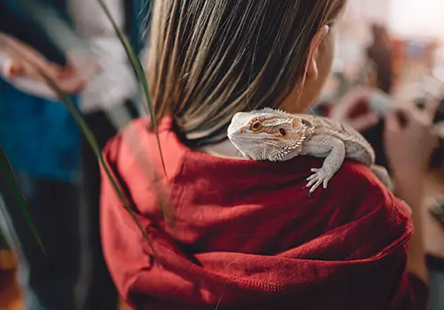 Young girl has lizard on her shoulder.