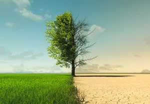 Climate change from drought to green growth.