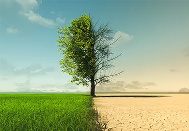 Climate change from drought to green growth.